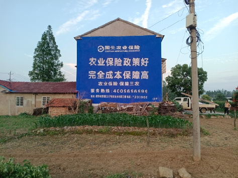 成都墙体广告为何受追捧？